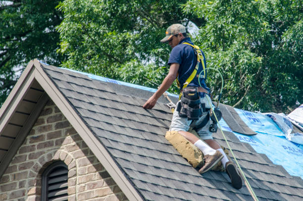 Professional Roofing Contractor in Alabaster, AL